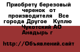 Приобрету березовый черенок  от производителя - Все города Другое » Куплю   . Чукотский АО,Анадырь г.